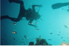 004_1280x849