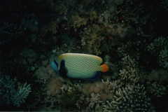 022_1280x849