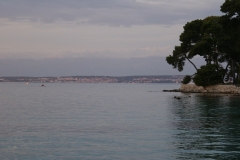 SONY DSC