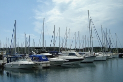 DSC05884_1280x853