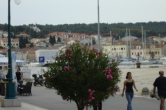 DSC05934_1280x853