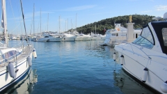 IMG_5686_1280x719