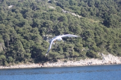 IMG_4605_1280x853